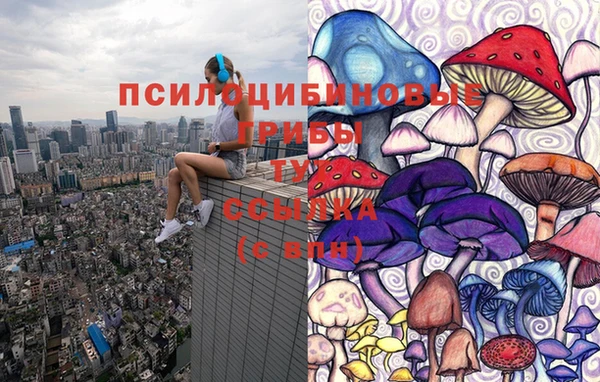 кокс Богородицк