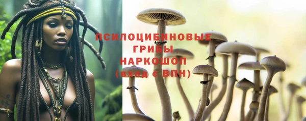 шишки Богородск