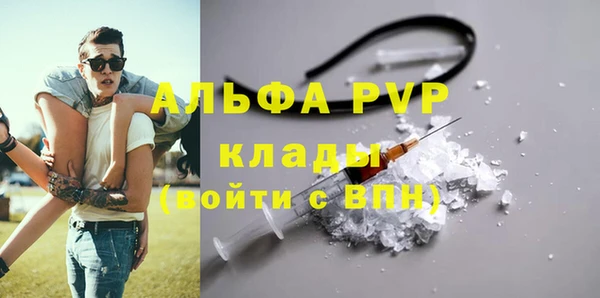 шишки Богородск