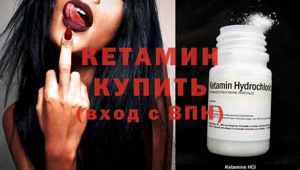 шишки Богородск