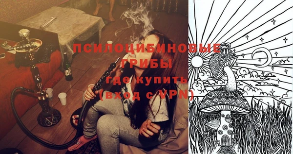 кокс Богородицк
