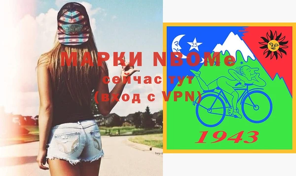 шишки Богородск
