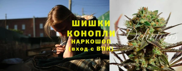 шишки Богородск
