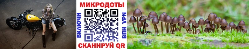 Псилоцибиновые грибы MAGIC MUSHROOMS Нерчинск