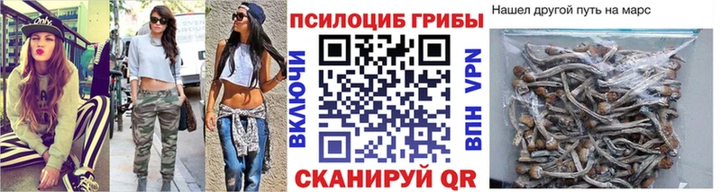 Купить  Нерчинск  Псилоцибиновые грибы мицелий 